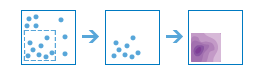 Calculate Density workflow diagram