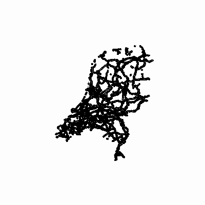 Export Image