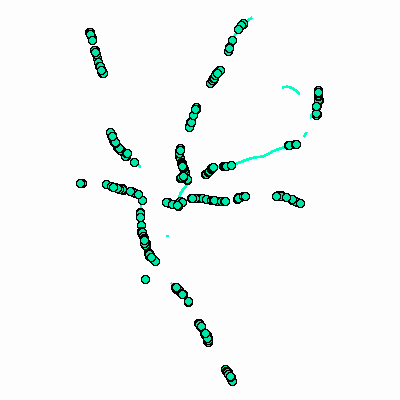 Export Image
